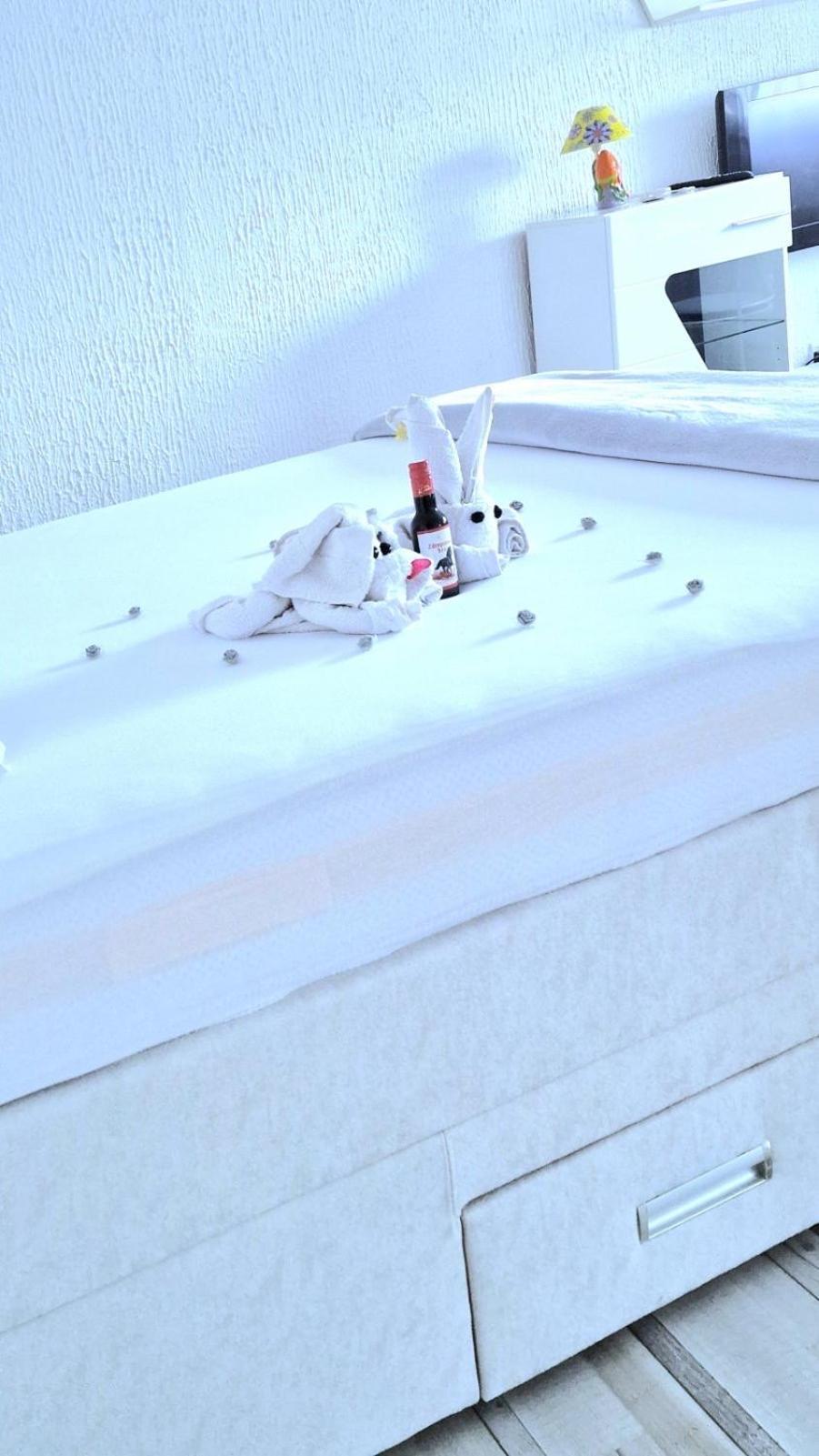 Apartment Sekulic دوبوي المظهر الخارجي الصورة